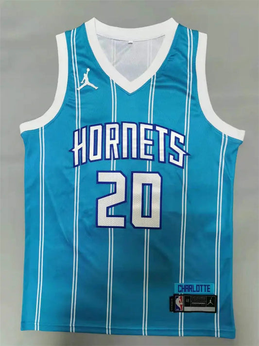 Charlotte Hornets Gordon Hayward NO.20 Basketball Jersey