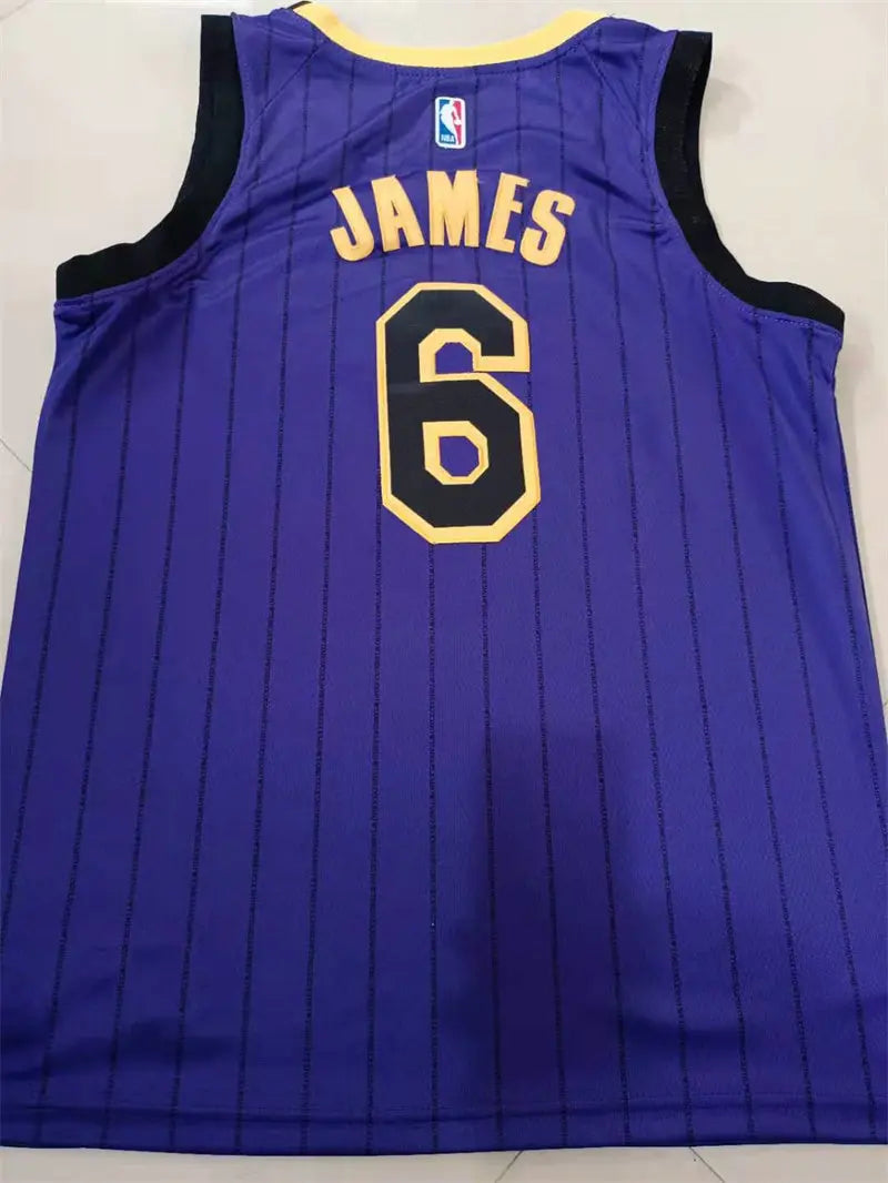 Los Angeles Lakers Lebron James NO.6 Basketball Jersey