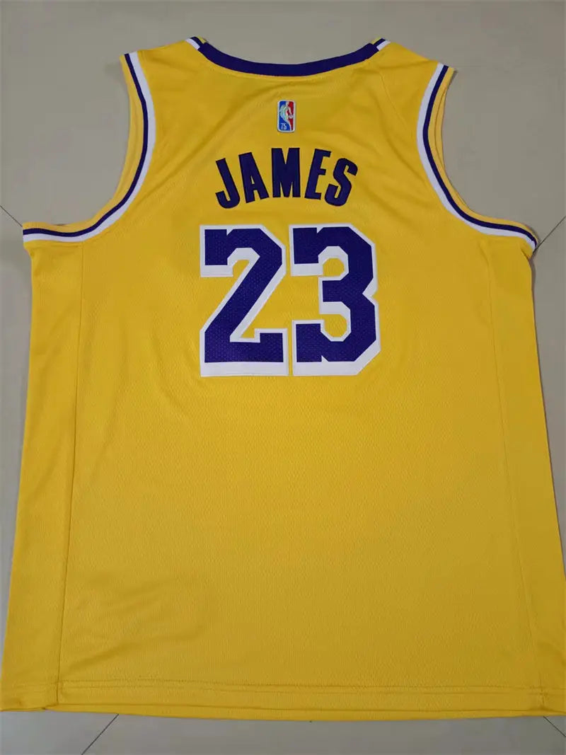 Los Angeles Lakers Lebron James NO.23 Basketball Jersey