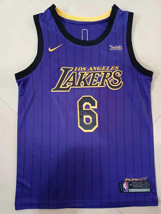 Los Angeles Lakers Lebron James NO.6 Basketball Jersey