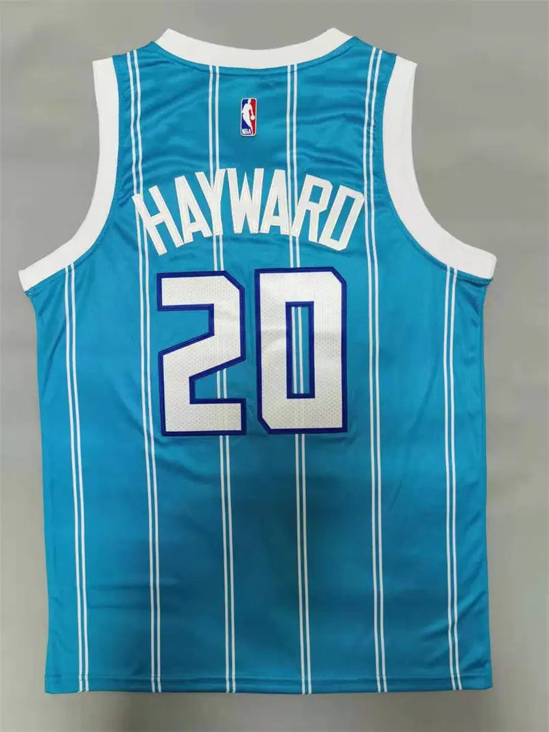 Charlotte Hornets Gordon Hayward NO.20 Basketball Jersey