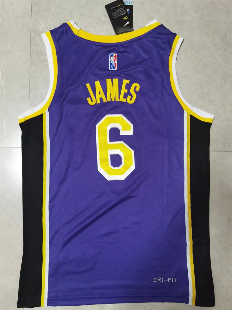 Los Angeles Lakers Lebron James NO.6 Basketball Jersey